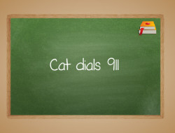Cat Dials 911